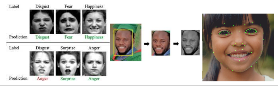 Real-time Facial Emotion Recognition for Mental Health Tracking